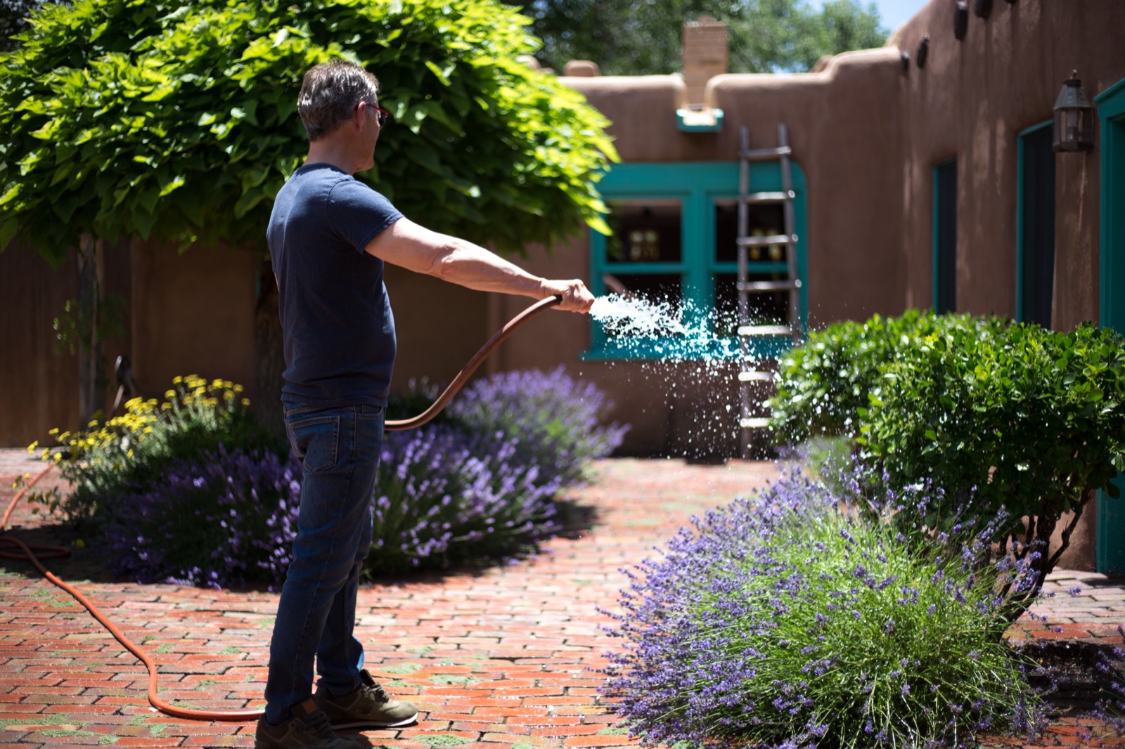 Man watering a lavender garden in front of a turquoise-trimmed adobe home