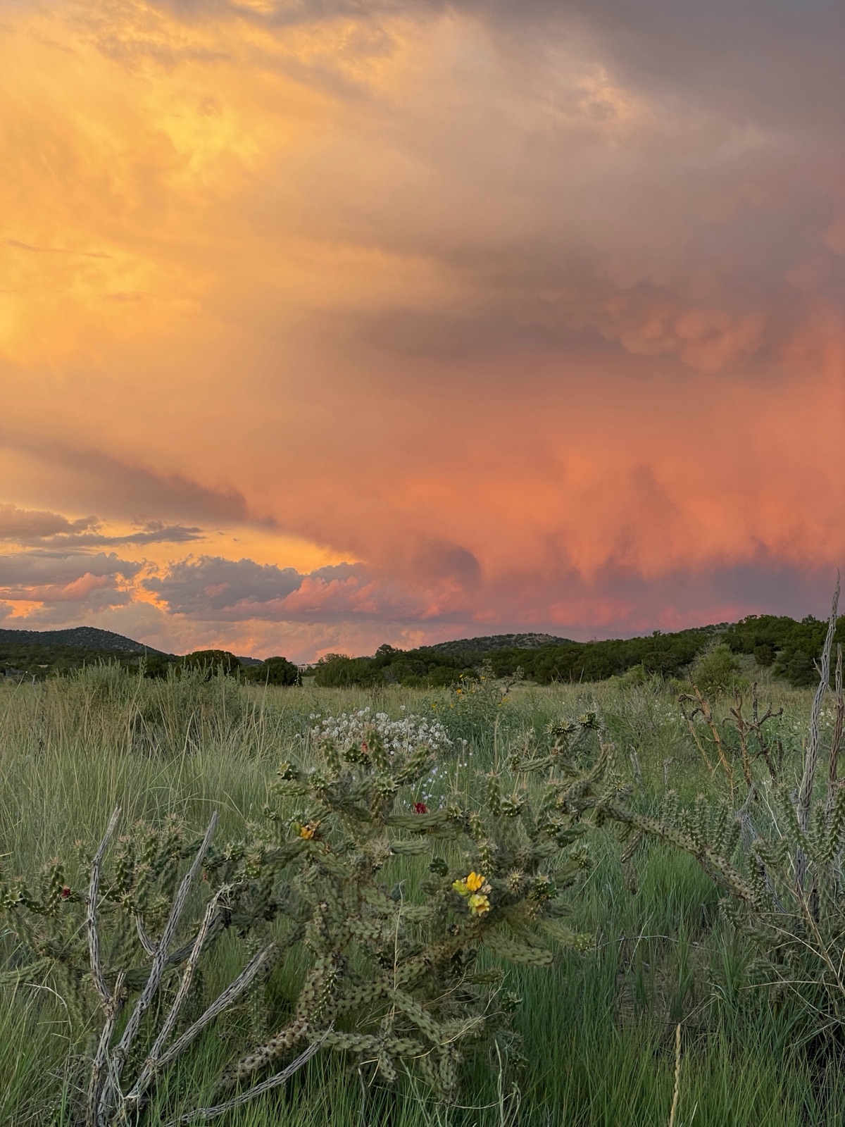 Orange and peach sunset clouds over a desert landscape